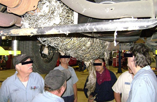 Illustration for article titled Jeep Runs Over Mattress, Develops "Shimmy" From Mass Of Wires, Cords Attached To Drivetrain